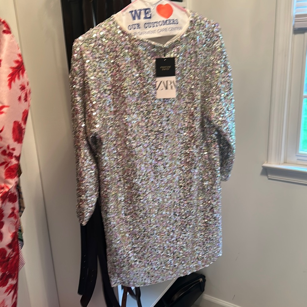 Zara Sequin Dress